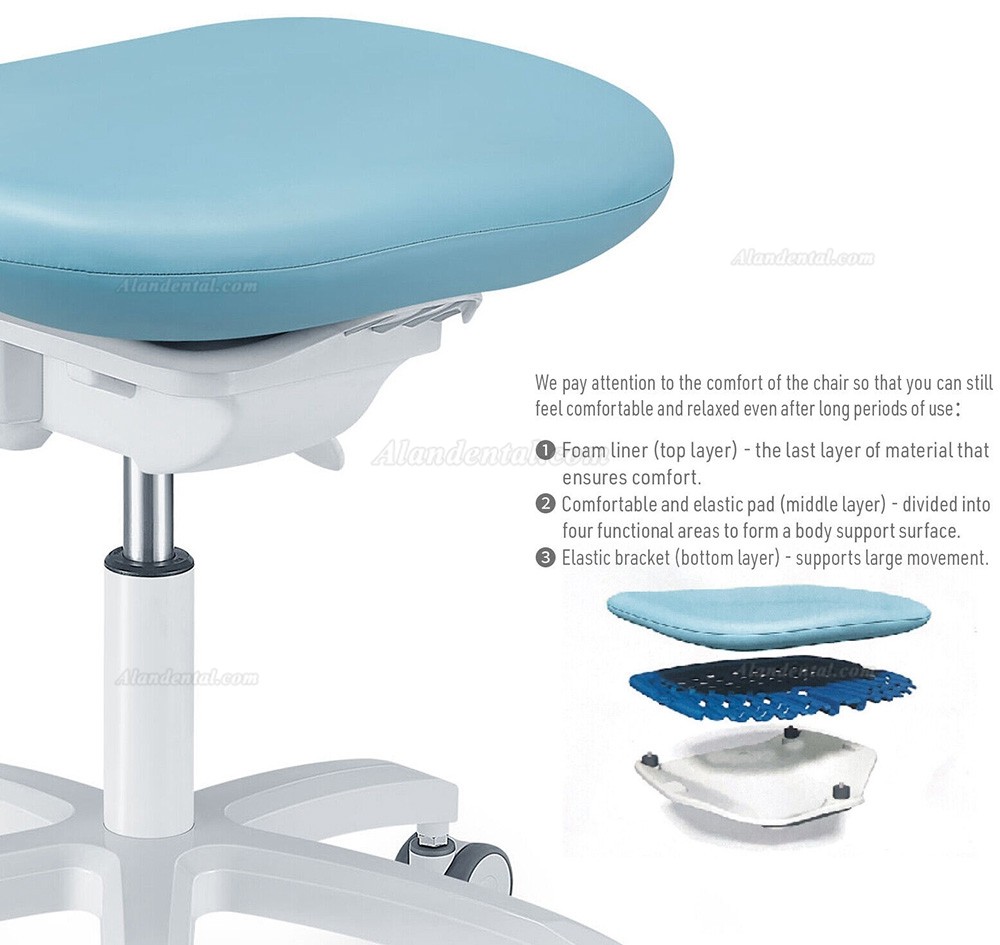 TYTC PLST-064-067 Dental Assisting Chairs Ergonomic Dentist Stool (Adjustable Seat and Backrest Angles)